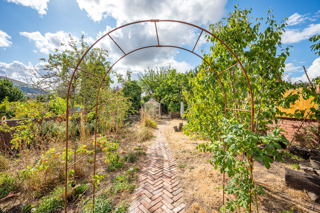 Garden- click for photo gallery